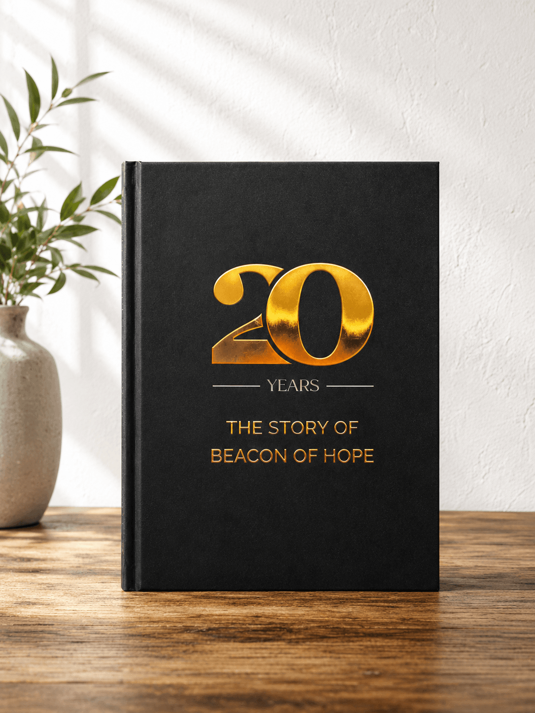 20 Years cover